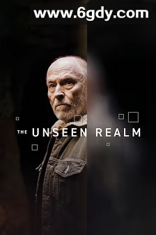 The Unseen Realm(2019)HD高清迅雷网盘磁力下载