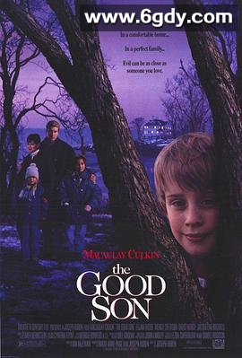 危险小天使(1993)HD高清迅雷网盘磁力下载