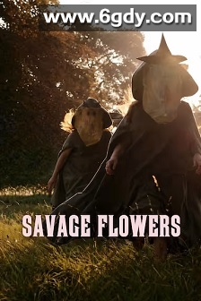 Hush Now(2025)HD高清迅雷网盘磁力下载