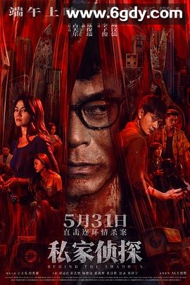 私家侦探(2025)HD高清迅雷网盘磁力下载