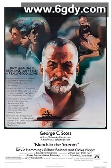 川流中的岛渚(1977)HD高清迅雷网盘磁力下载