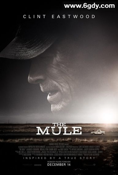 骡子(2018)HD高清迅雷网盘磁力下载