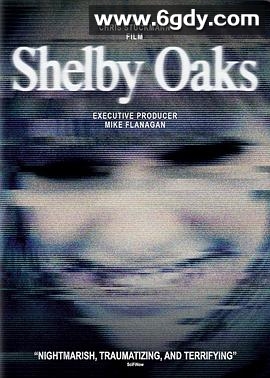 寻踪迷镇(2024)HD高清迅雷网盘磁力下载