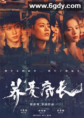 荞麦疯长(2020)HD高清迅雷网盘磁力下载