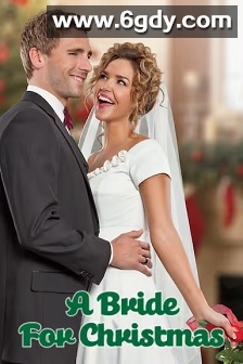 圣诞节的新娘(2012)HD高清迅雷网盘磁力下载