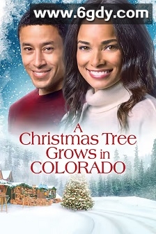 A Christmas Tree Grows in Colorado(2020)HD高清迅雷网盘磁力下载