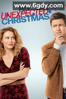 好一场意外圣诞(2021)HD高清迅雷网盘磁力下载