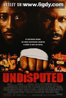 终极斗士(2002)HD高清迅雷网盘磁力下载