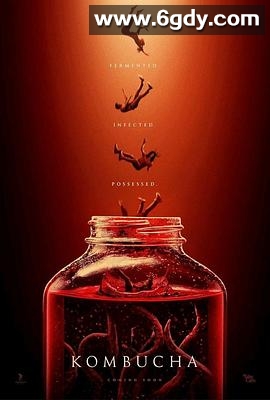 康普茶(2025)HD高清迅雷网盘磁力下载