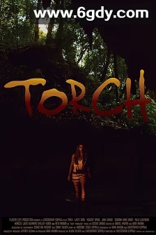 Torch(2017)HD高清迅雷网盘磁力下载