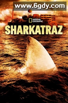 鲨鱼恶魔岛(2016)HD高清迅雷网盘磁力下载