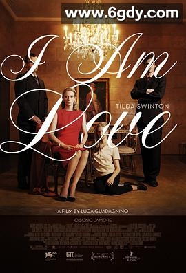 我是爱(2009)HD高清迅雷网盘磁力下载