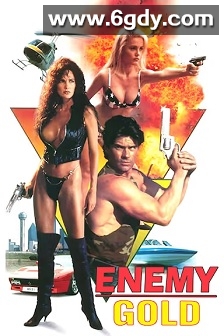 执法女先锋(1993)HD高清迅雷网盘磁力下载