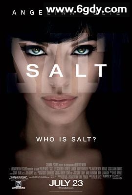 特工绍特(2010)HD高清迅雷网盘磁力下载