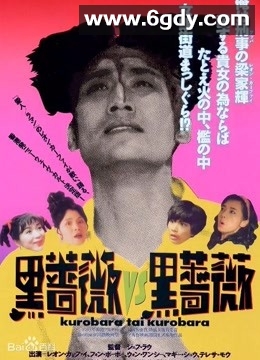 92黑玫瑰对黑玫瑰(1992)HD高清迅雷网盘磁力下载