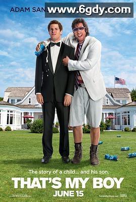 爸爸的好儿子(2012)HD高清迅雷网盘磁力下载