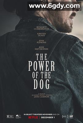 犬之力(2021)HD高清迅雷网盘磁力下载