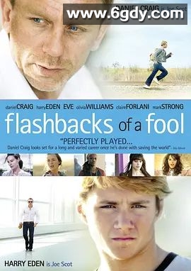 傻瓜回忆录(2008)超清高清迅雷网盘磁力下载