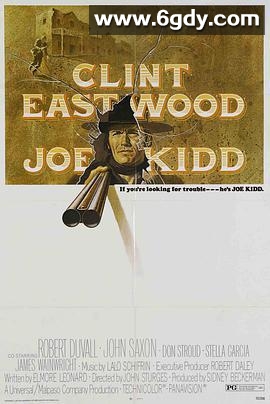 独行神枪侠(1972)HD高清迅雷网盘磁力下载