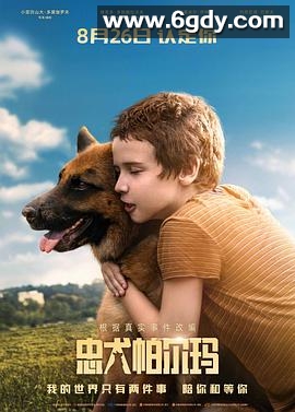 忠犬帕尔玛(2021)HD高清迅雷网盘磁力下载