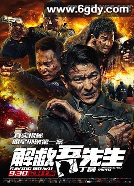 解救吾先生(2015)HD高清迅雷网盘磁力下载