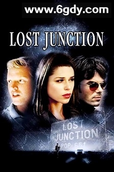 生命交叉点(2003)HD高清迅雷网盘磁力下载