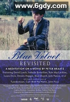 重访蓝丝绒(2016)HD高清迅雷网盘磁力下载