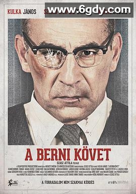 驻伯尔尼大使(2014)超清高清迅雷网盘磁力下载