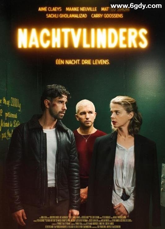 暗夜蝶影(2025)HD高清迅雷网盘磁力下载