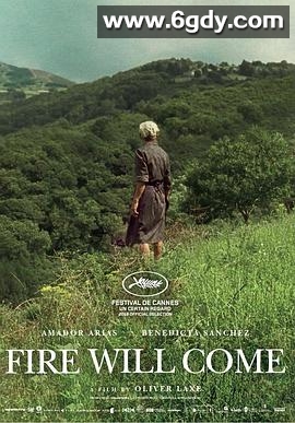 大火将至(2019)HD高清迅雷网盘磁力下载