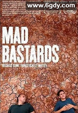 疯狂的混蛋(2010)超清高清迅雷网盘磁力下载